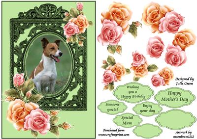 Jr in the Roses