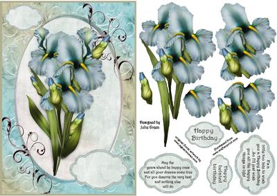 Blue Iris Birthday/belated