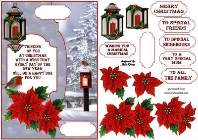 A Special Christmas Scene