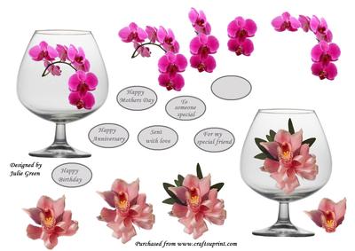 Orchids in a Glass