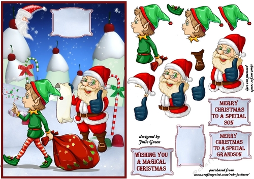 Santas little helper