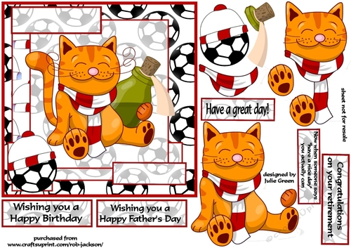Football cat redand white