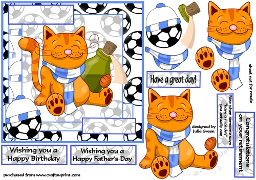 Football cat light blue