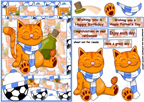 Football cat A5 light blue