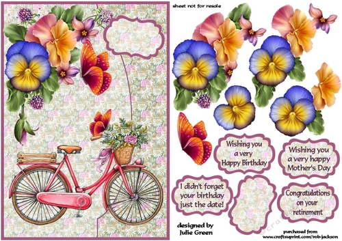 cyce amongst the flowers A5