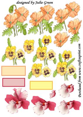 A Group of Flowers