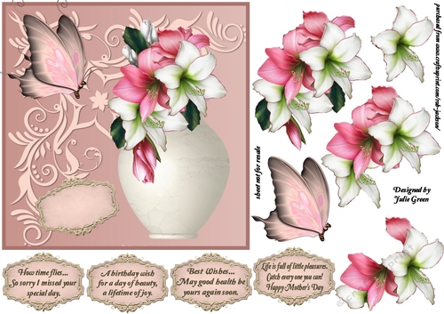 Beautiful amaryllis