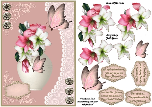 Beautiful Amaryllis A5