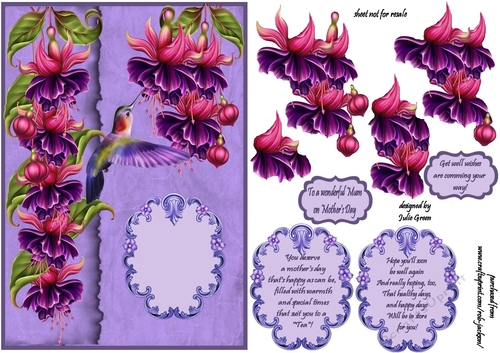 Petals and wings Mothers day get wel