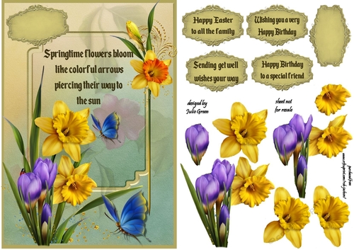 Spring flowers