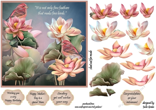 Fine feathers and flowers