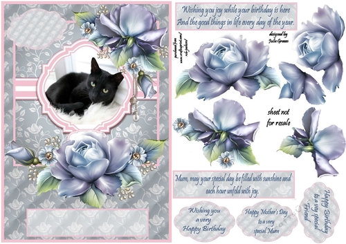 Black cat and roses