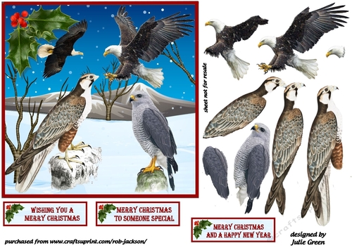 Christmas winter birds of prey