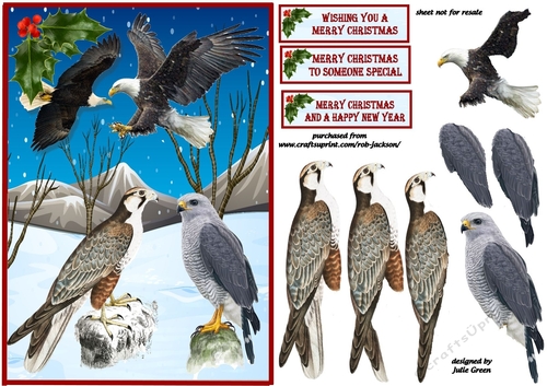 Christmas winter birds of prey A5