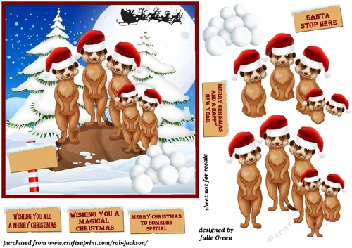 Meerkat Christmas