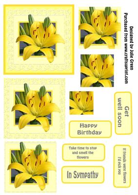 The Yellow Lilly