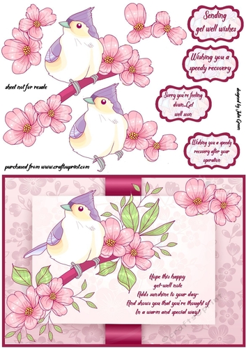 Petals and wings get well