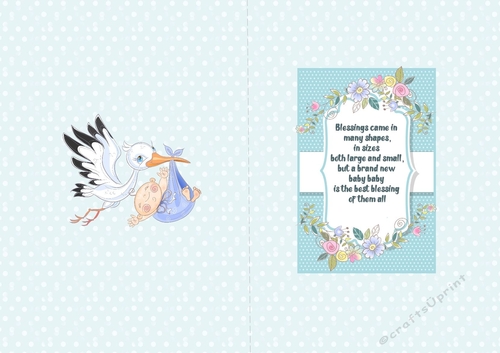Baby boy delivery A5 parents insert