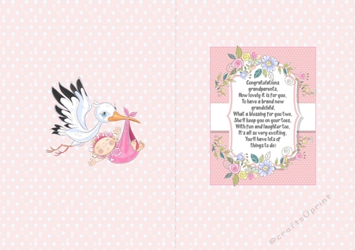 Baby girl delivery insert Grandparents A5