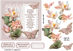 Lotus flower get well