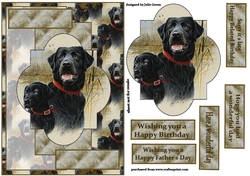 Labrador love