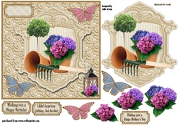 Garden Hydrangea
