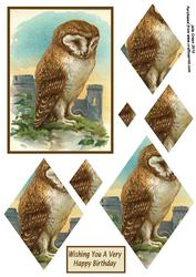 The Wise Old Owl. Diamond Pyramid