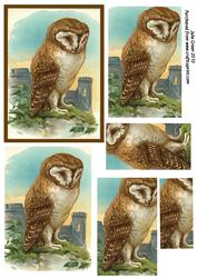 The Wise Old Owl. Oblong Pyramid