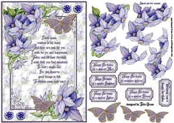 Birthday Clematis