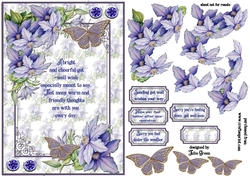 Clematis get well