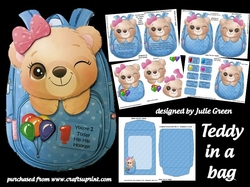 teddy in a bag