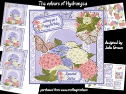 The colours of Hydrangea