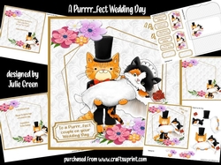 A Purrr...fect Wedding Day 7x7