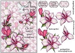 Magnolia Sympathy A5
