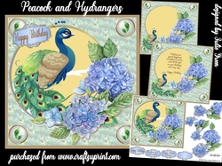 Peacock and Hydrangers