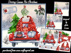Driving Gnome For Christmas