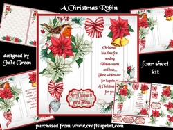 A Christmas Robin