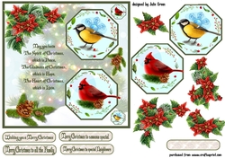 Winter birds