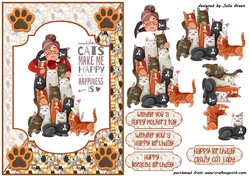 Crazy cat lady A5
