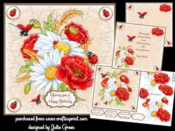 Poppies daisies and Ladybirds