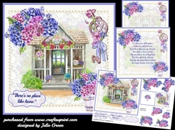 Hydrangea new home