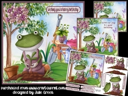 Gardening Frog 2