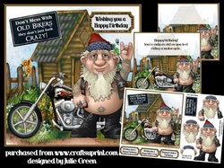 The crazy biker