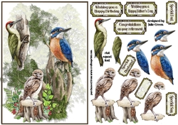 Birds of a feather 2