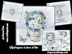 Hydrangeas in hues of blue