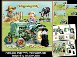 A day on the farm