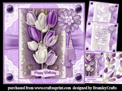 Purple tulips
