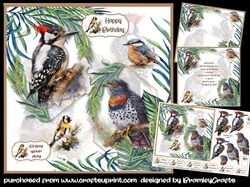Feathered Friends 7x7
