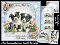 Border Collies