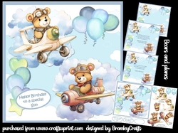 Bears and planes